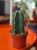 Cuddly Cactus Cereus jamacaru kaktus bez kolców (1).jpg
