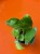Scindapsus 'Green on Green'  (1).jpg
